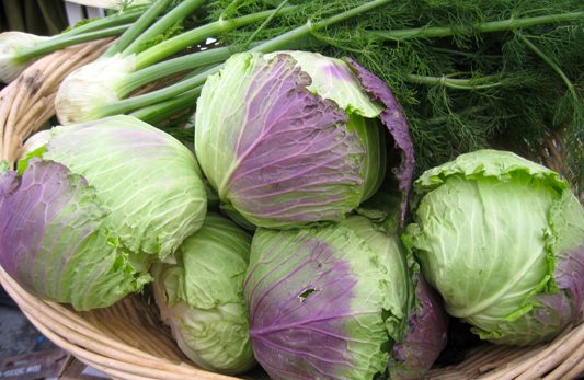 Pretty Cabbages